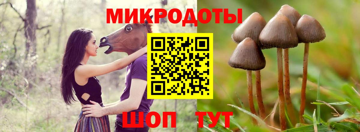 Галлюциногенные грибы GOLDEN TEACHER Лабинск